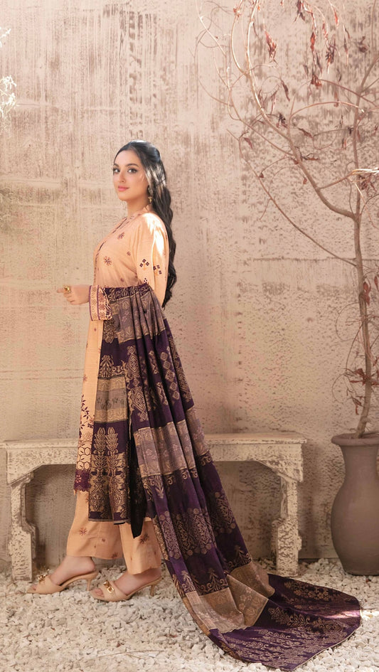 Festive Zarri Peach Leather Suit