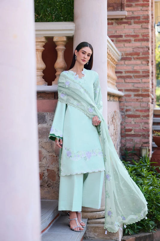 Misty Mint